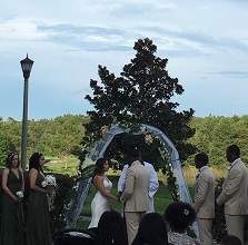 Wedding Shingle Creek Courtyard